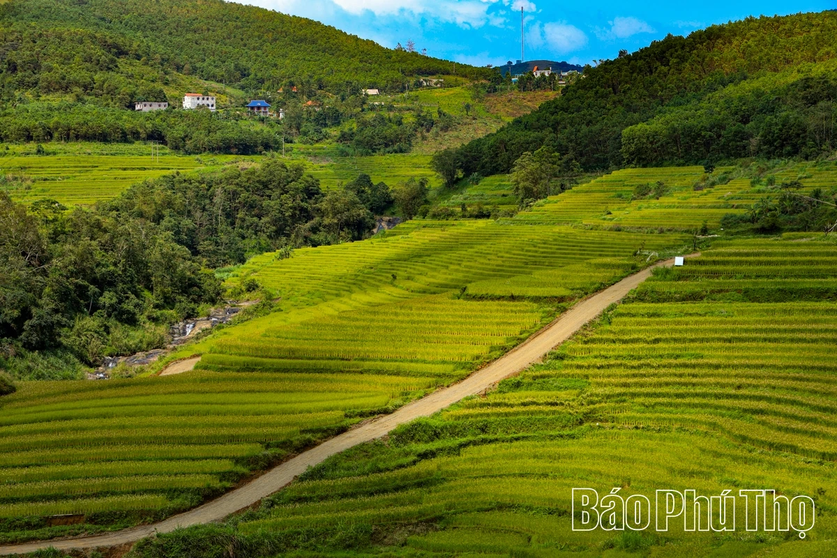 Thả hồn trên đỉnh Miền Đồi