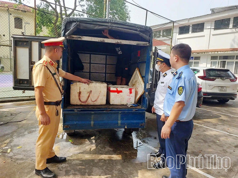 Tiêu hủy gần 270 kg nội tạng động vật không bảo đảm an toàn thực phẩm