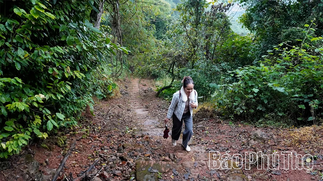 Động Tiên Phi: “Viên ngọc quý” ẩn mình trên đỉnh Thung Phi