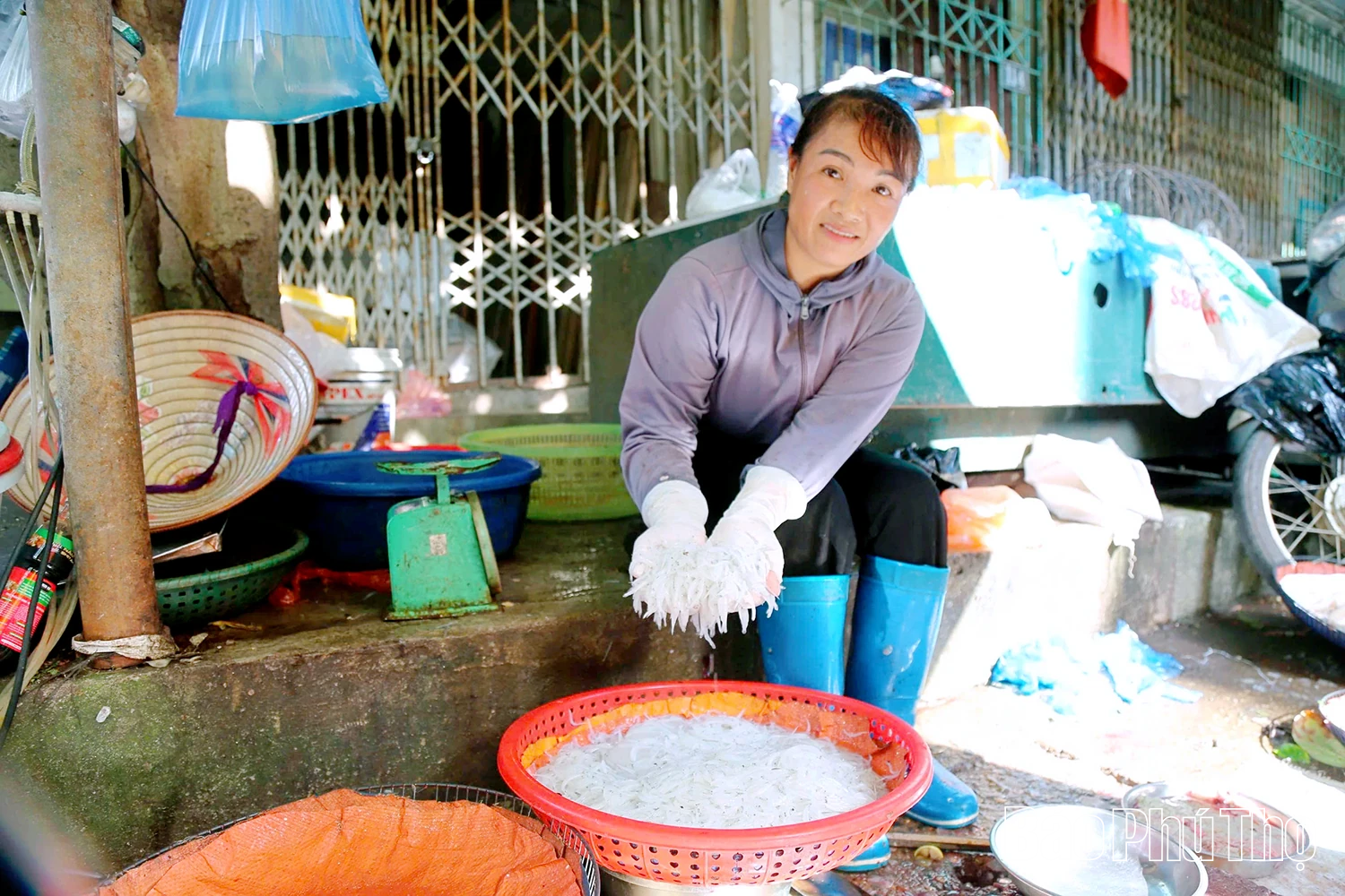 Cá ngần - “Ngọc tuyết” sông Đà