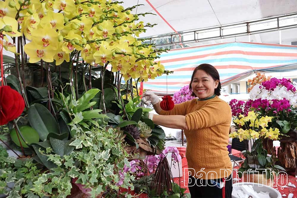 Đưa hoa Xuân xuống phố