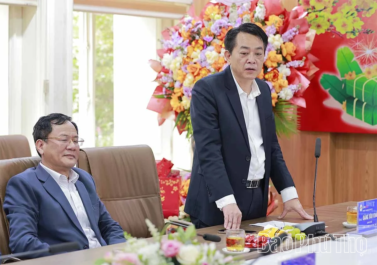 Phó Bí thư Tỉnh ủy, Chủ tịch Ủy ban MTTQ tỉnh Bùi Thị Minh thăm, chúc Tết Công ty Điện lực Phú Thọ