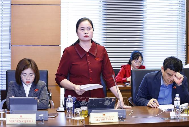 Đại biểu Quốc hội tỉnh Tuyên Quang Ma Thị Thúy phát biểu. Ảnh: Doãn Tấn/TTXVN  