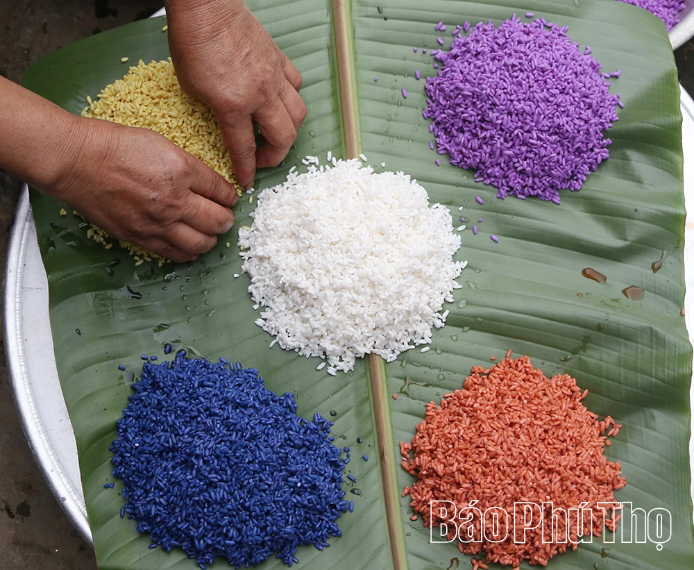 Hương vị núi rừng gửi trong ống nứa