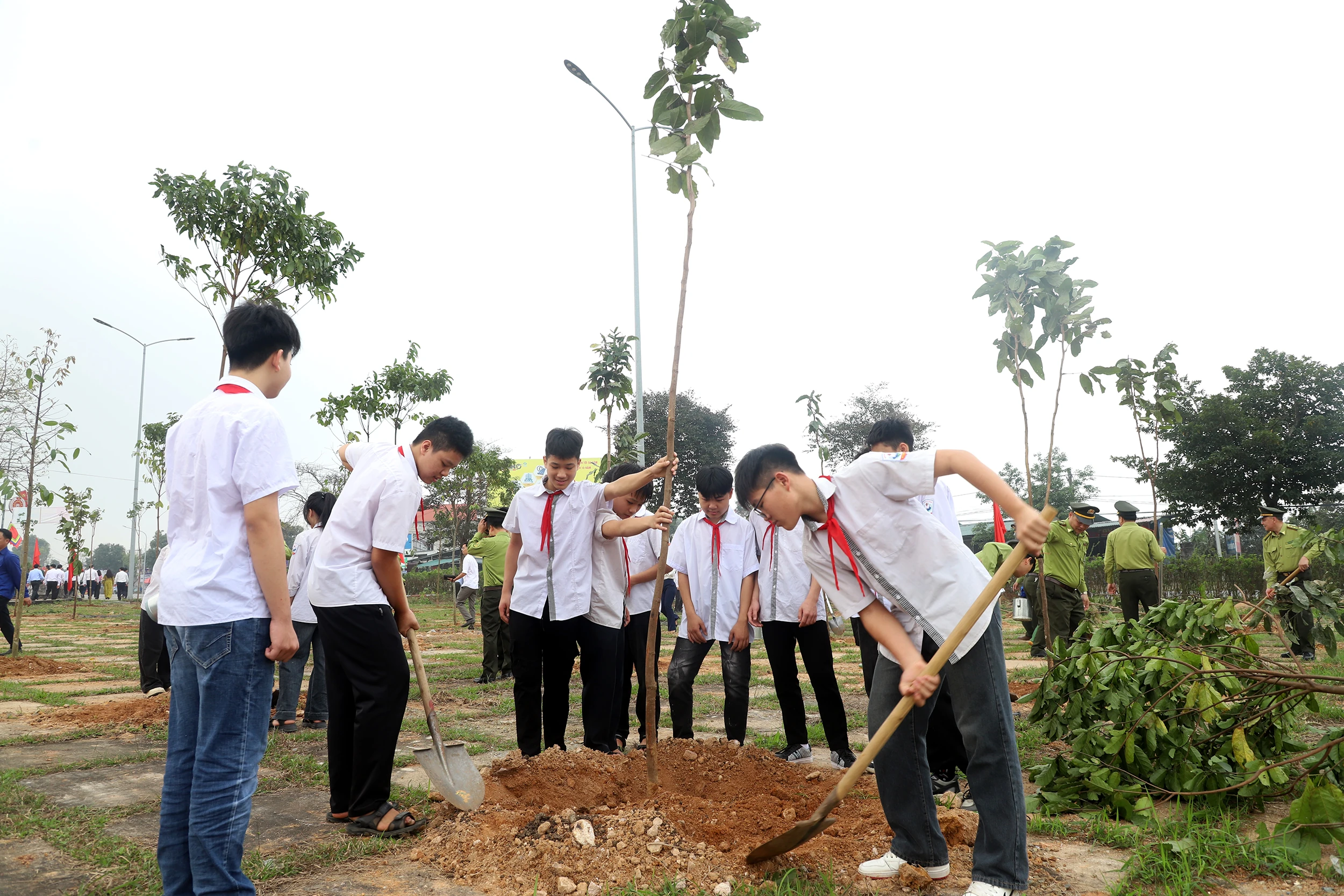 Phú Thọ phát động “Tết trồng cây đời đời nhớ ơn Bác Hồ” Xuân Bính Ngọ 2026