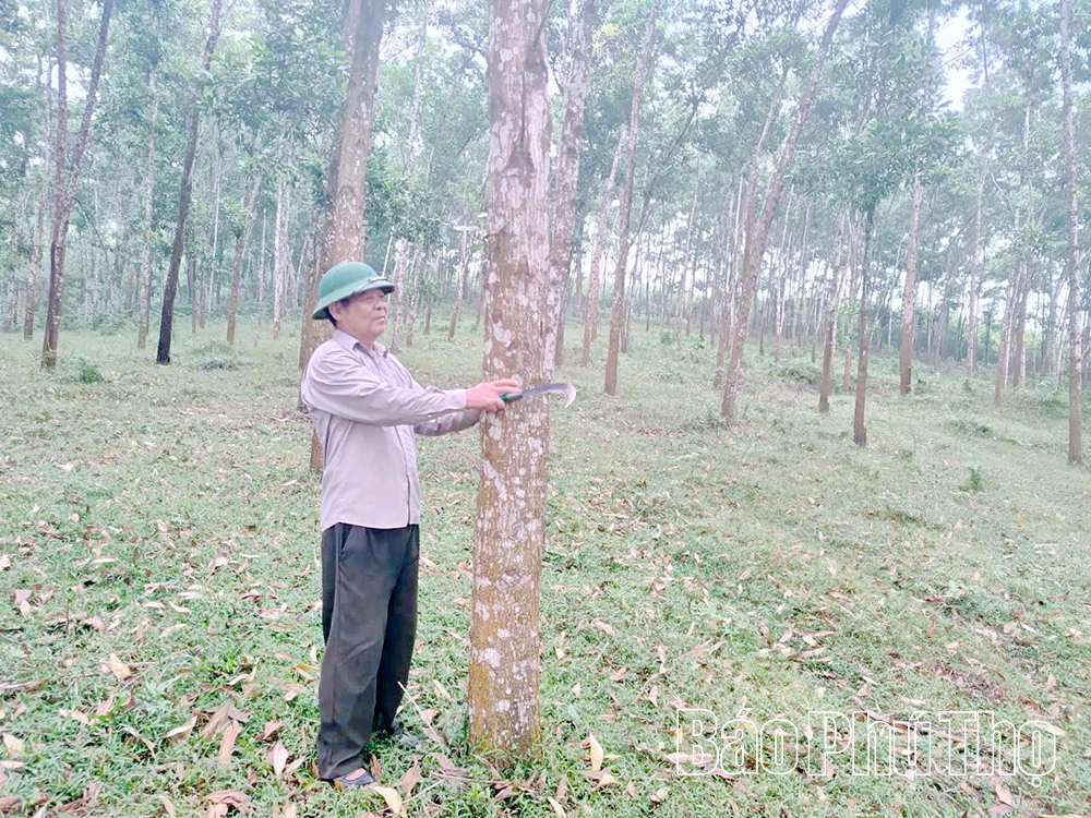 Cự Đồng đổi mới tư duy lãnh đạo