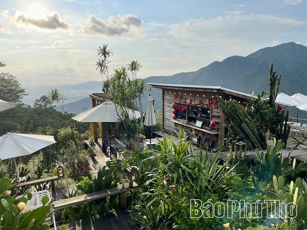 Có một Tam Đảo dịu dàng trong ráng chiều buông