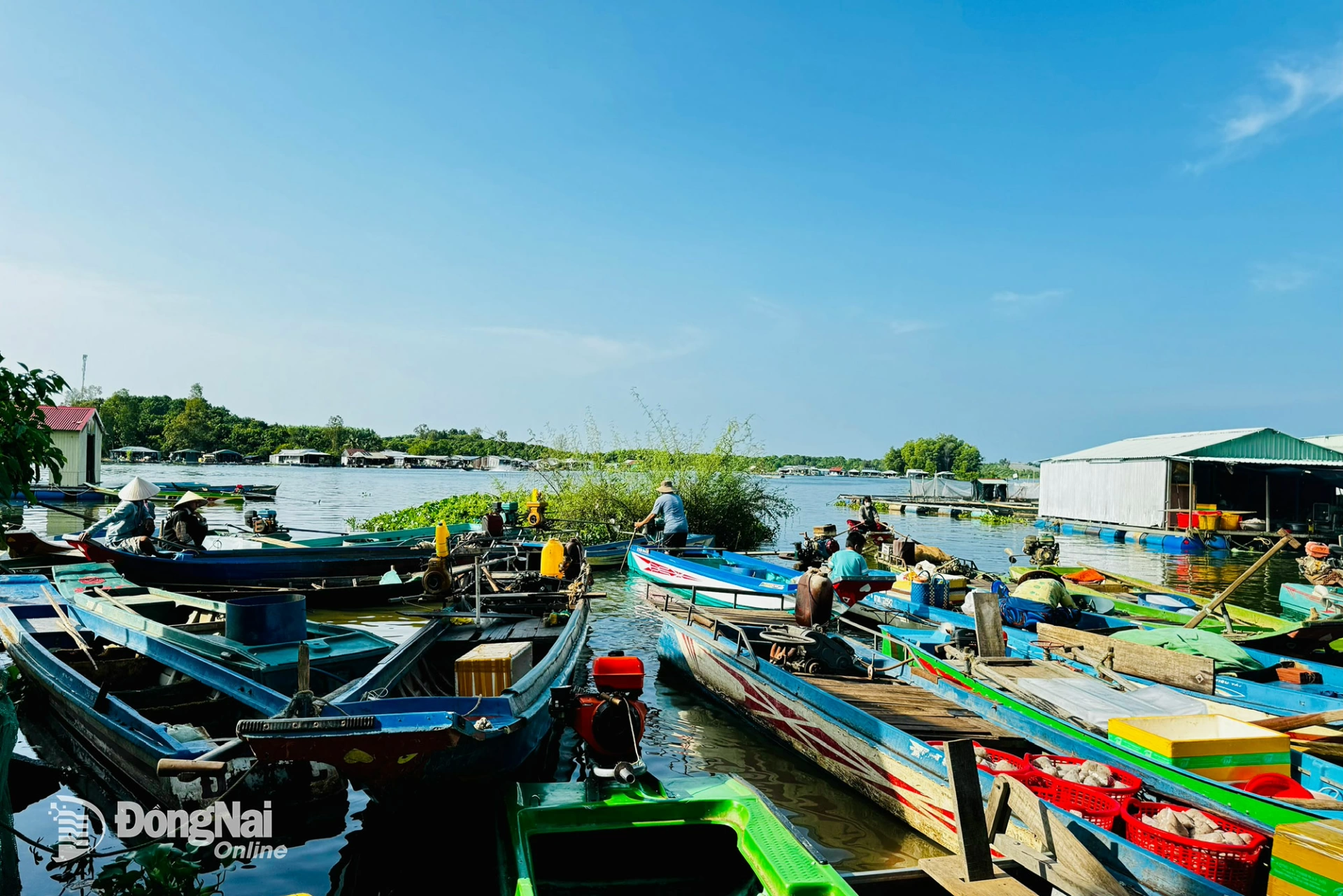 Bến cá tại ấp Suối Tượng, xã Trị An. Ảnh: B.Nguyên