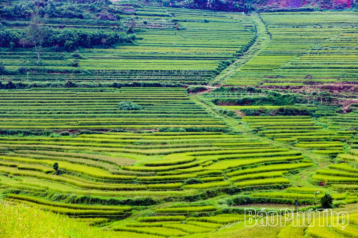 Thả hồn trên đỉnh Mường Vang