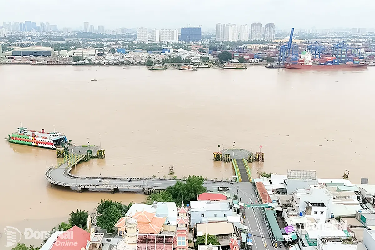 Dự án Đầu tư xây dựng cầu Cát Lái được đề xuất áp dụng hình thức lựa chọn nhà đầu tư trong trường hợp đặc biệt do tính cấp bách. Ảnh: Phạm Tùng