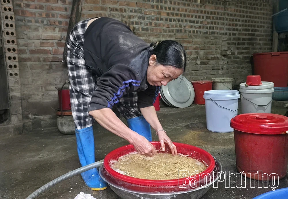 Đậu R&ugrave;a Tu&acirc;n Ch&iacute;nh: G&oacute;i trọn vị qu&ecirc; trong từng miếng nhỏ