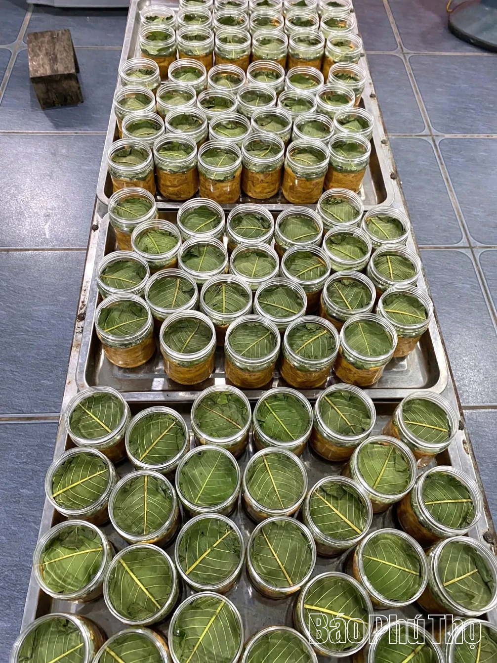 Thịt chua đu đủ - hương vị xứ Mường Tân Sơn