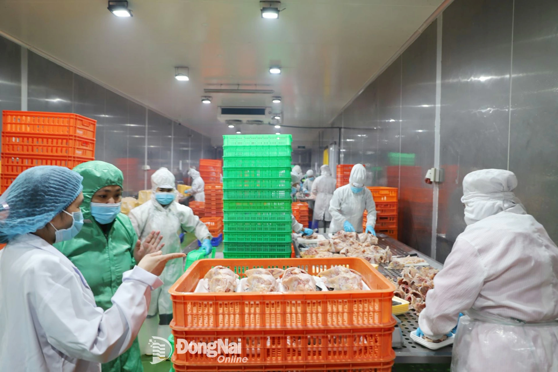 Đoàn công tác của Sở Nông nghiệp và Môi trường khảo sát Nhà máy giết mổ thuộc Chi nhánh 1 - Công ty CP BMFOOD (xã Bình Minh). Ảnh: B.Nguyên