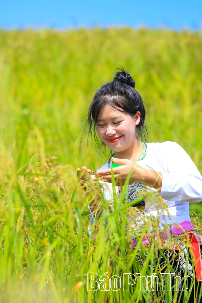 Thả hồn trên đỉnh Mường Vang