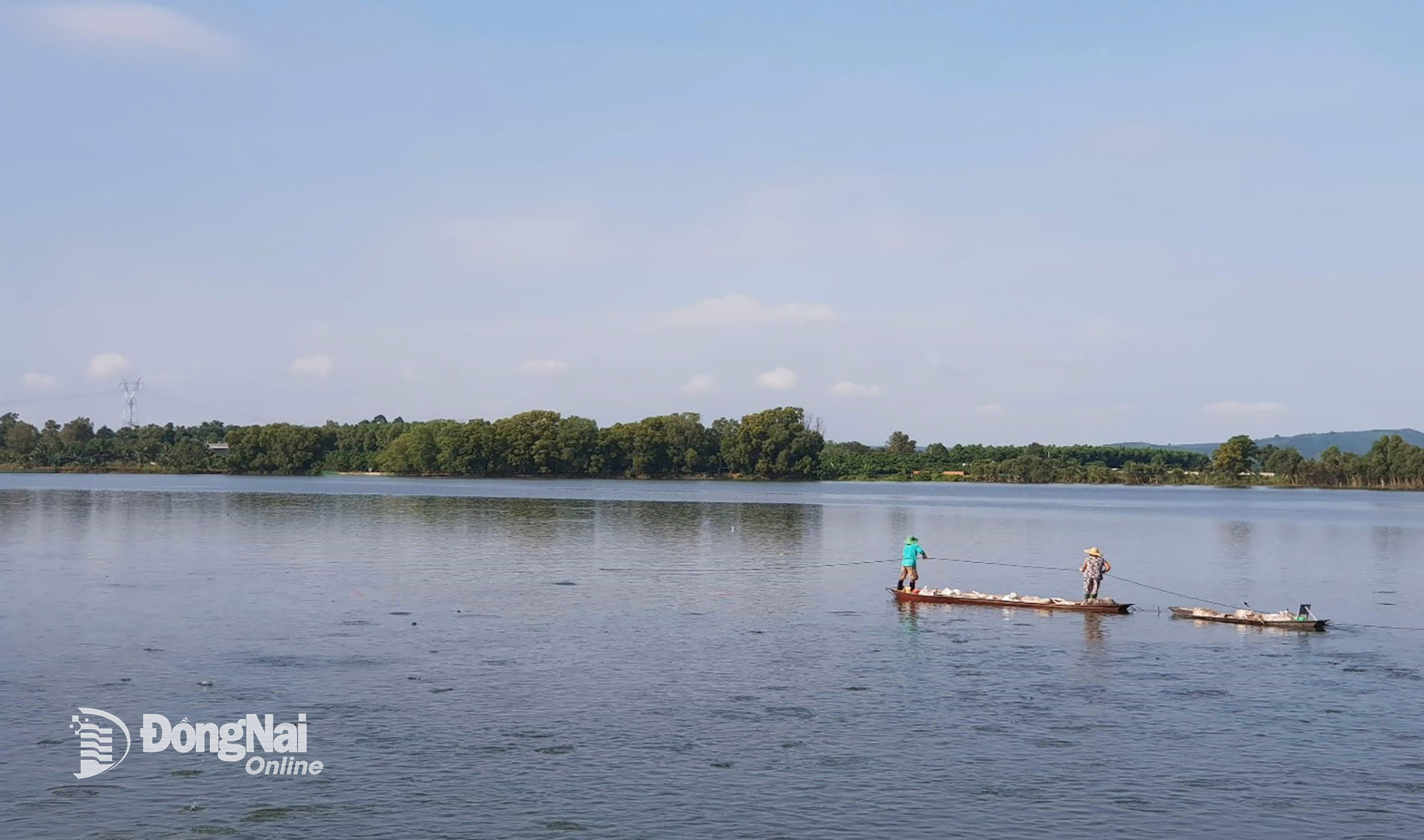 Người dân chèo xuồng ra thăm lồng cá. Ảnh: H.Thu