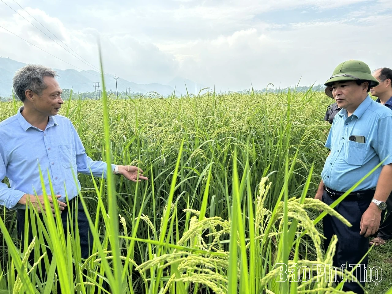 Xây dựng Đảng vững mạnh - Nền tảng để Sơn Lương bứt phá