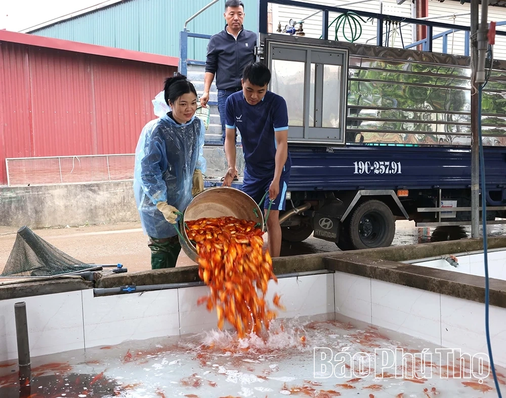 Sắm “xế đỏ” tiễn táo quân