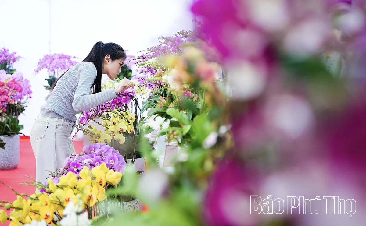 Rộn ràng thị trường hoa Tết