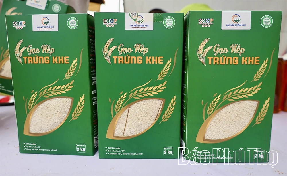 Bảo tồn và phát triển giống lúa nếp cổ “Trứng Khe” ở Thượng Cốc
