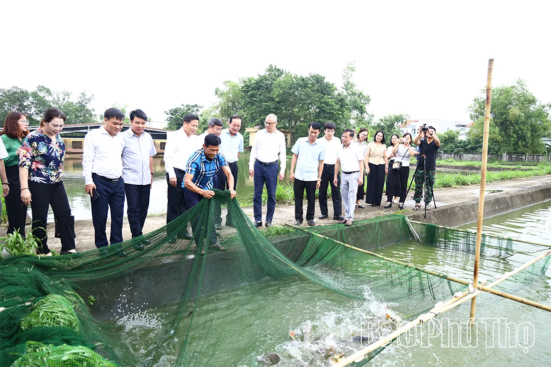 Ứng dụng khoa học công nghệ để nhân rộng mô hình sản xuất nông nghiệp hiệu quả