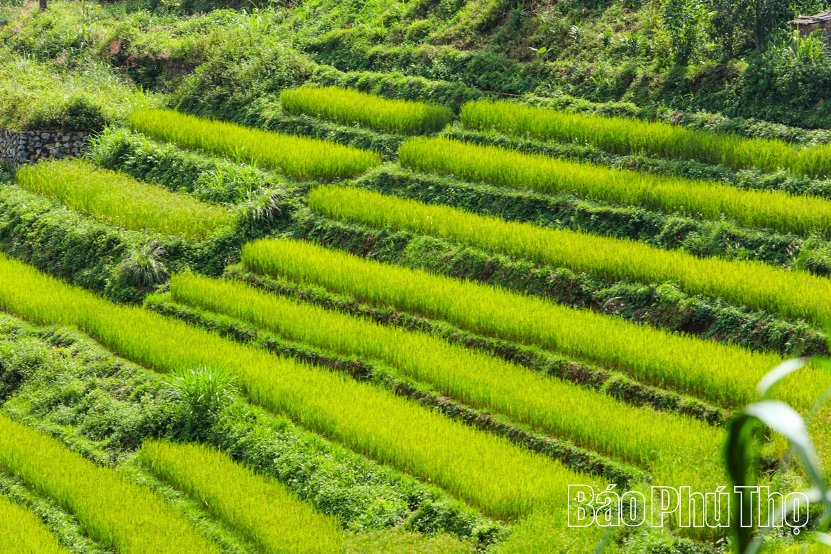 Thả hồn trên đỉnh Mường Vang