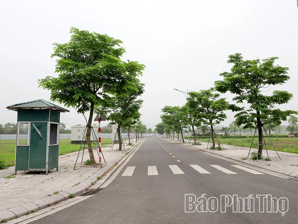 Kiểm tra, tháo gỡ vướng mắc Dự án Khu nhà ở tại xã Lương Sơn