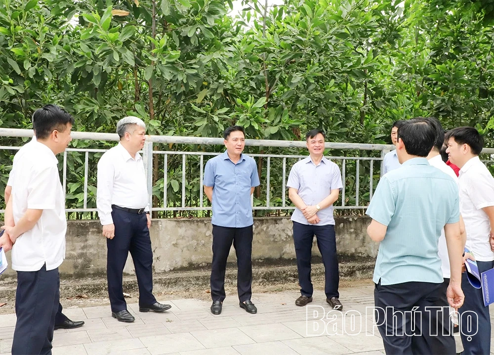 Kiểm tra, tháo gỡ vướng mắc Dự án Khu nhà ở tại xã Lương Sơn