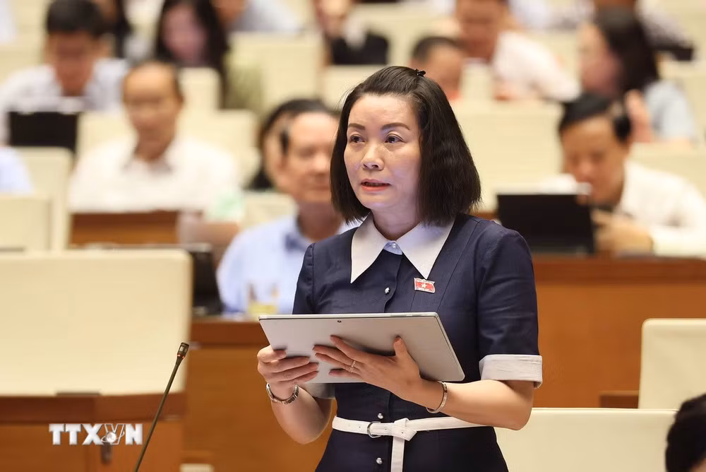 ttxvn-quoc-hoi-thao-luan-o-hoi-truong-ve-du-an-luat-sua-doi-bo-sung-mot-so-dieu-cua-luat-xuat-ban3.jpg