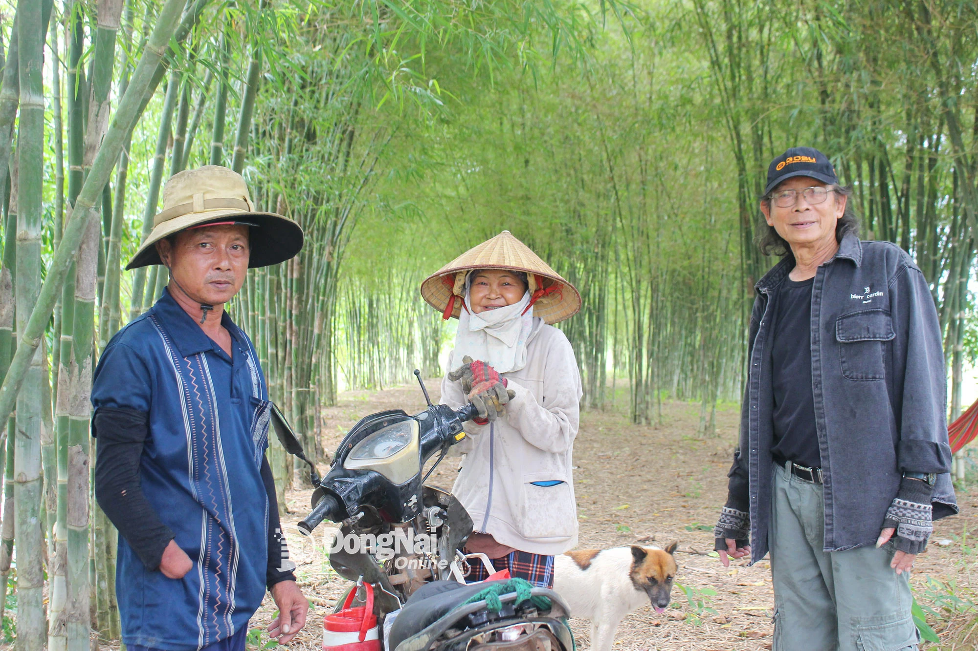 Cựu chiến binh Năm Dương (bìa phải) trò chuyện với những người làm công.  