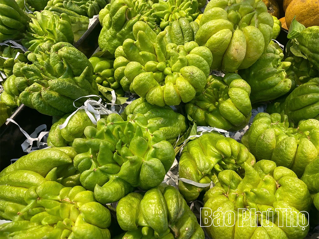 Sắc màu phiên chợ Tết