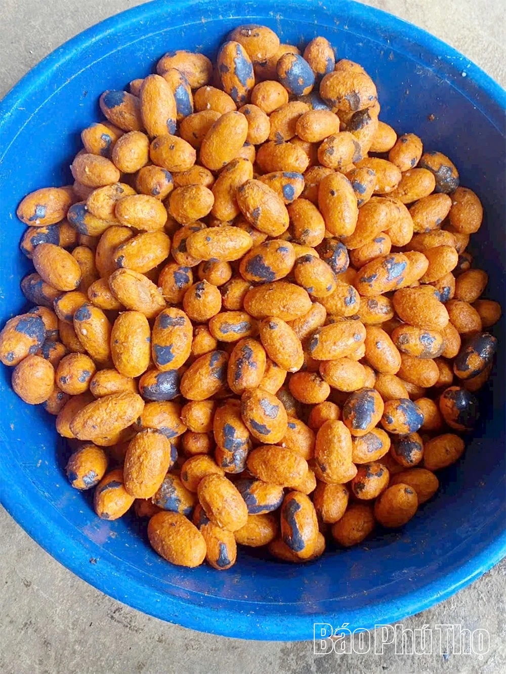 Lạ miệng từ m&oacute;n x&ocirc;i cọ