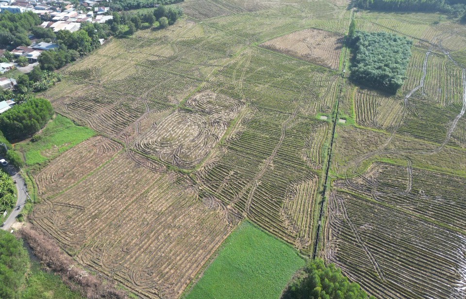 Hiện trạng khu đất triển khai xây dựng  Dự án Xây dựng hạ tầng khu tái định cư hơn 49 ha tại phường Phước Tân. Ảnh: Hoàng Lộc