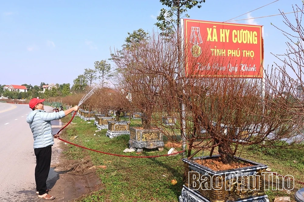 L&agrave;ng nghề hoa đ&agrave;o Nh&agrave; N&iacute;t v&agrave;o vụ Tết