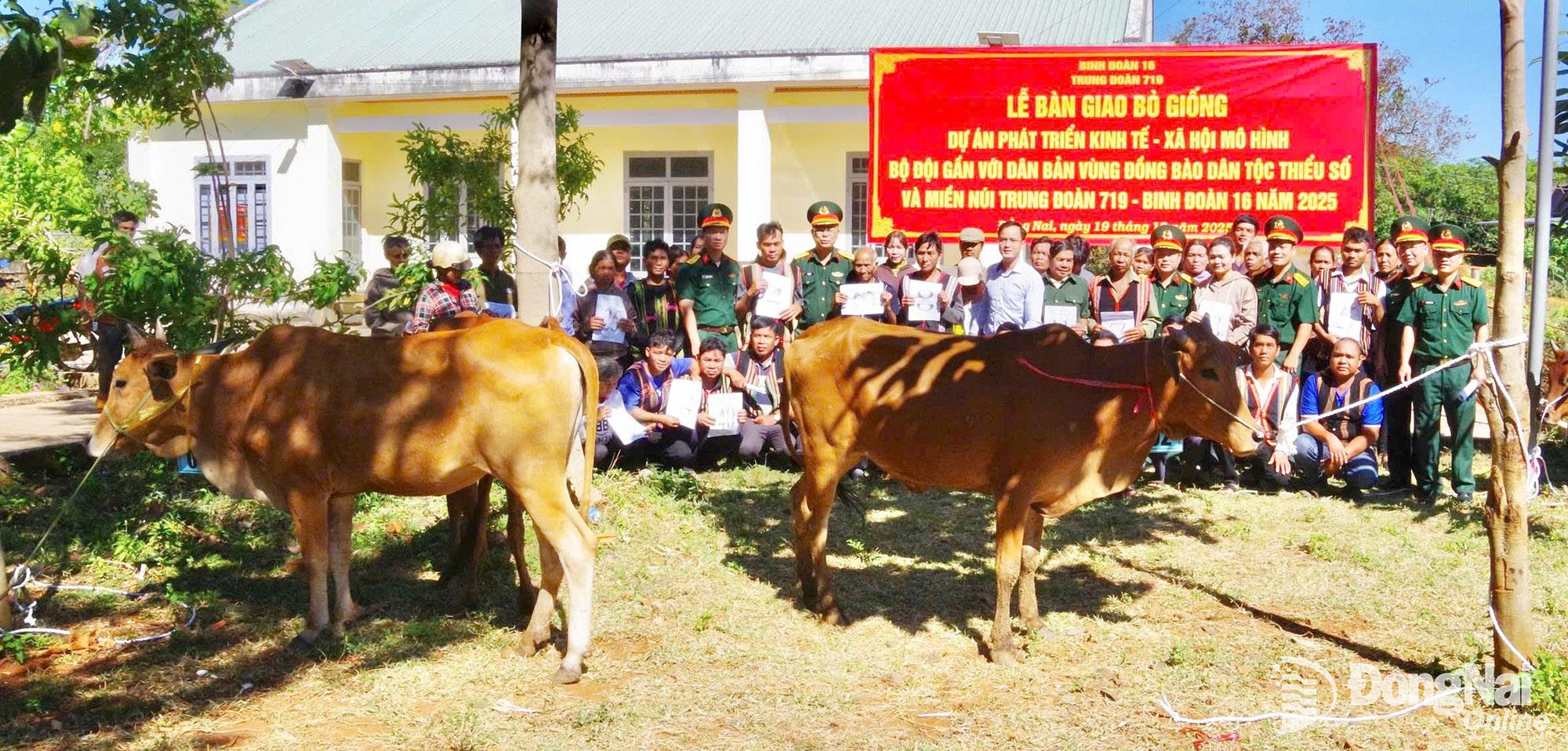 Trao bò giống cho các hộ khó khăn ở 2 xã Đak Nhau và Bom Bo. Ảnh: Huỳnh Sơn  