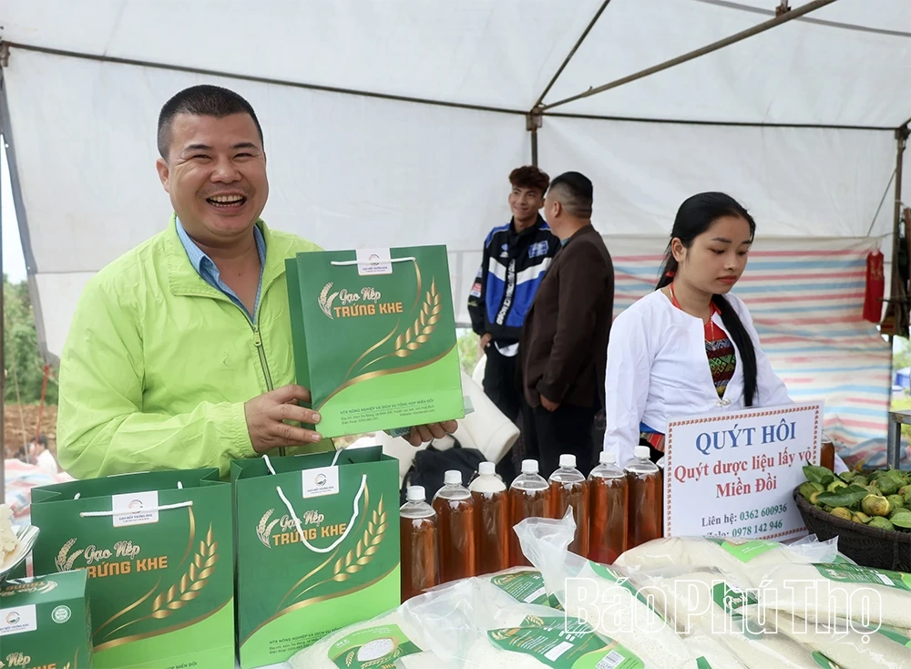 Bảo tồn và phát triển giống lúa nếp cổ “Trứng Khe” ở Thượng Cốc
