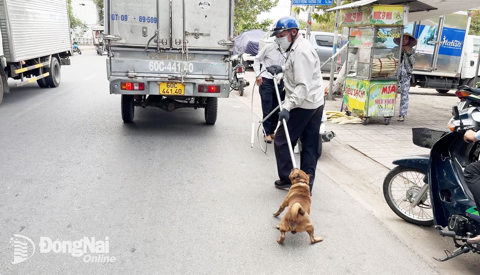 Người dân mong muốn các lực lượng chức năng ra quân bắt chó thả rông để ngừa bệnh dại. Trong ảnh: Lực lượng chức năng bắt chó thả rông trên địa bàn phường Trảng Dài, tỉnh Đồng Nai. Ảnh: Hoàn Lê