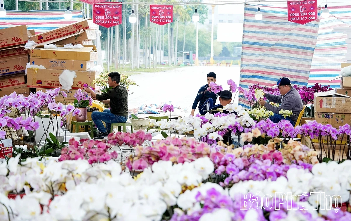 Rộn ràng thị trường hoa Tết