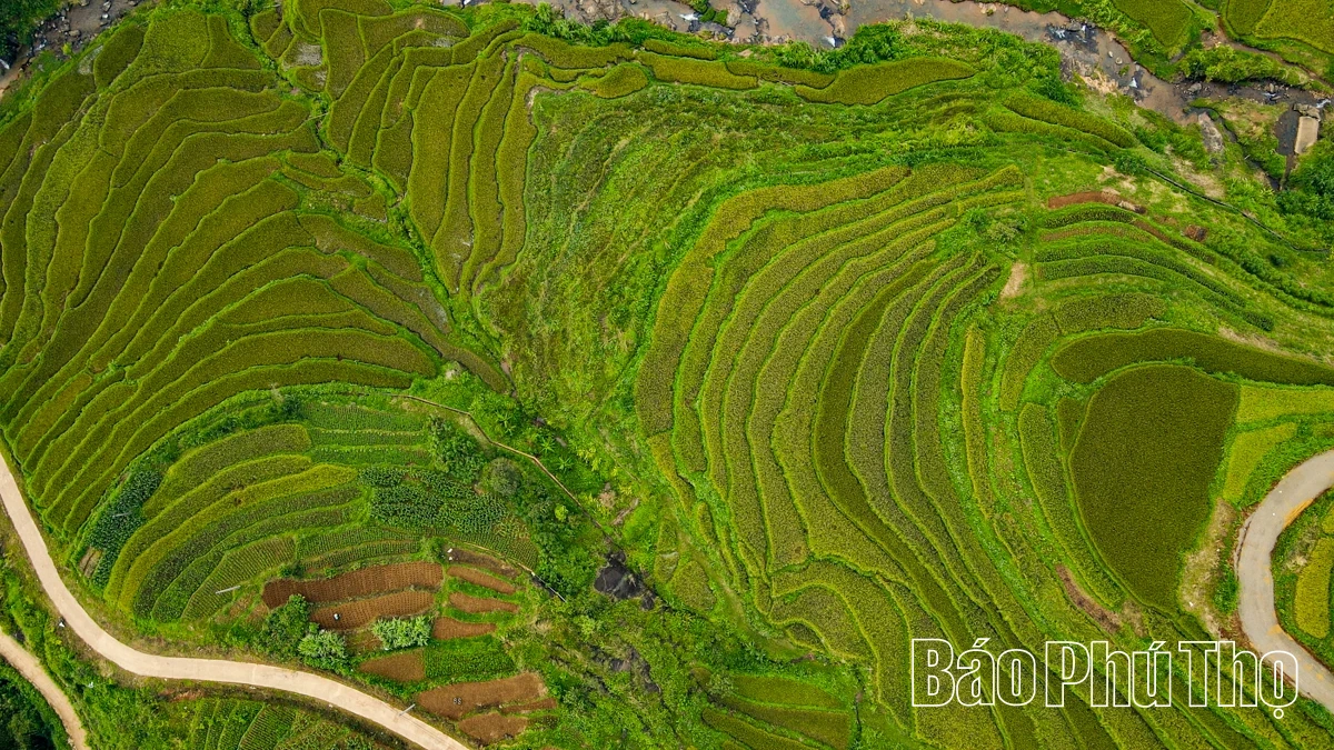 Thả hồn trên đỉnh Miền Đồi