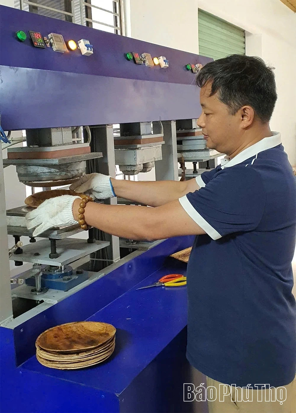 Hướng đi xanh cho sản phẩm sinh học