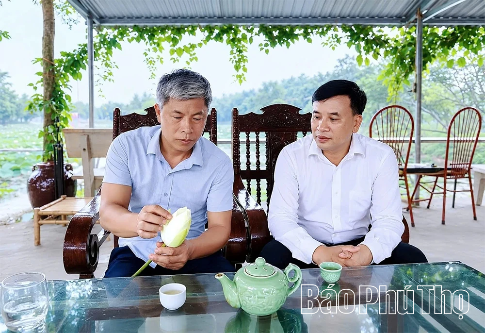 Hương sen gọi mùa