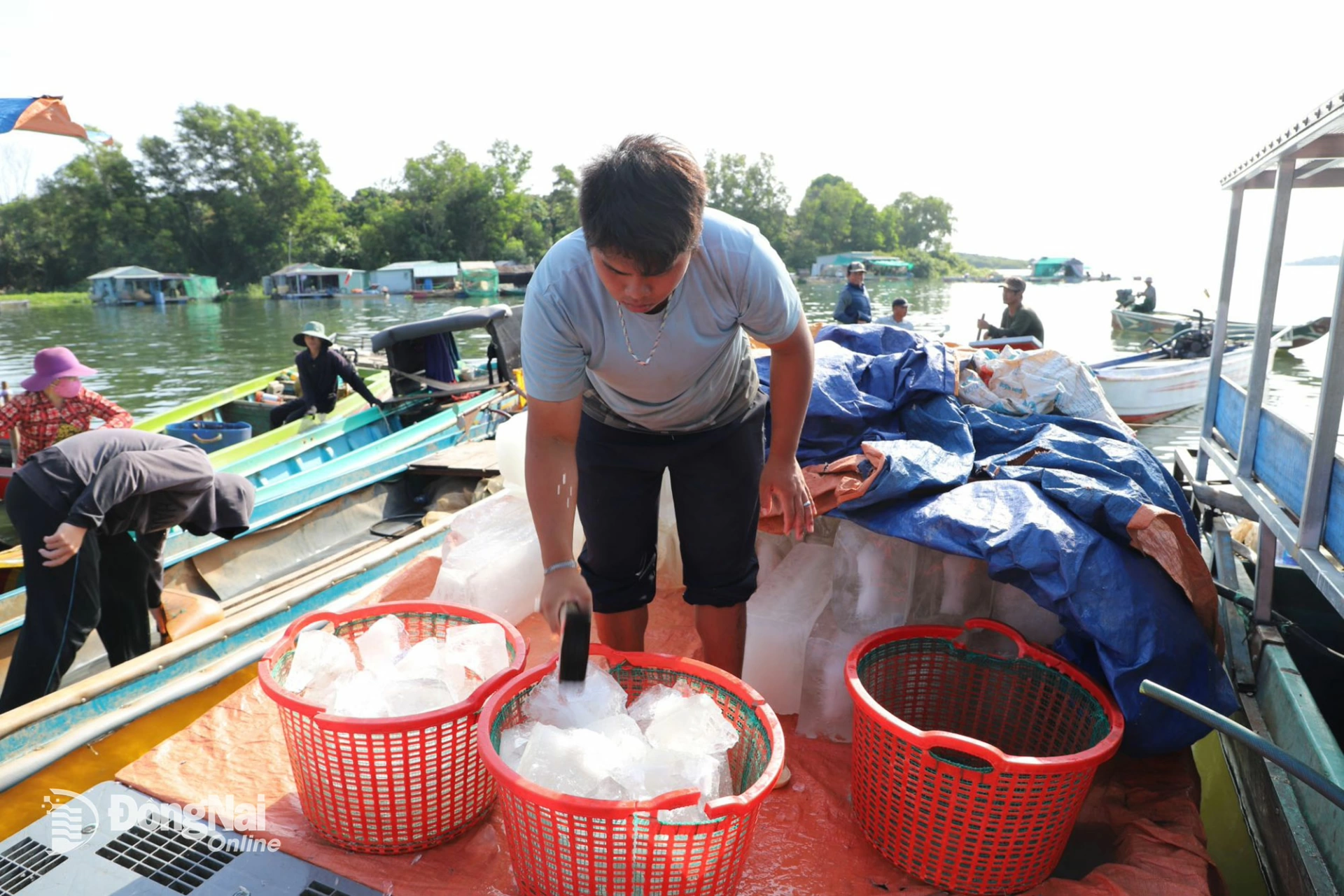 Đá lạnh dùng để bảo quản cá. Ảnh: B.Nguyên