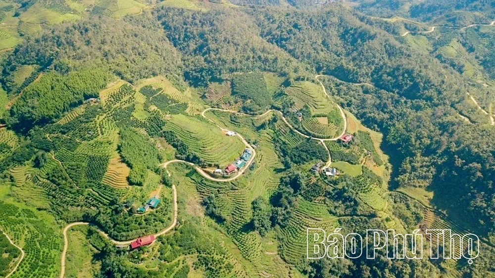 X&atilde; V&acirc;n Sơn tổ chức Hội nghị x&uacute;c tiến đầu tư năm 2025