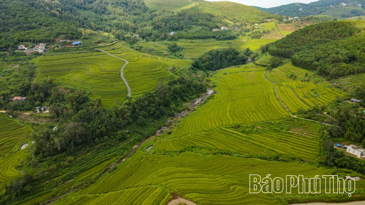 Thả hồn trên đỉnh Miền Đồi