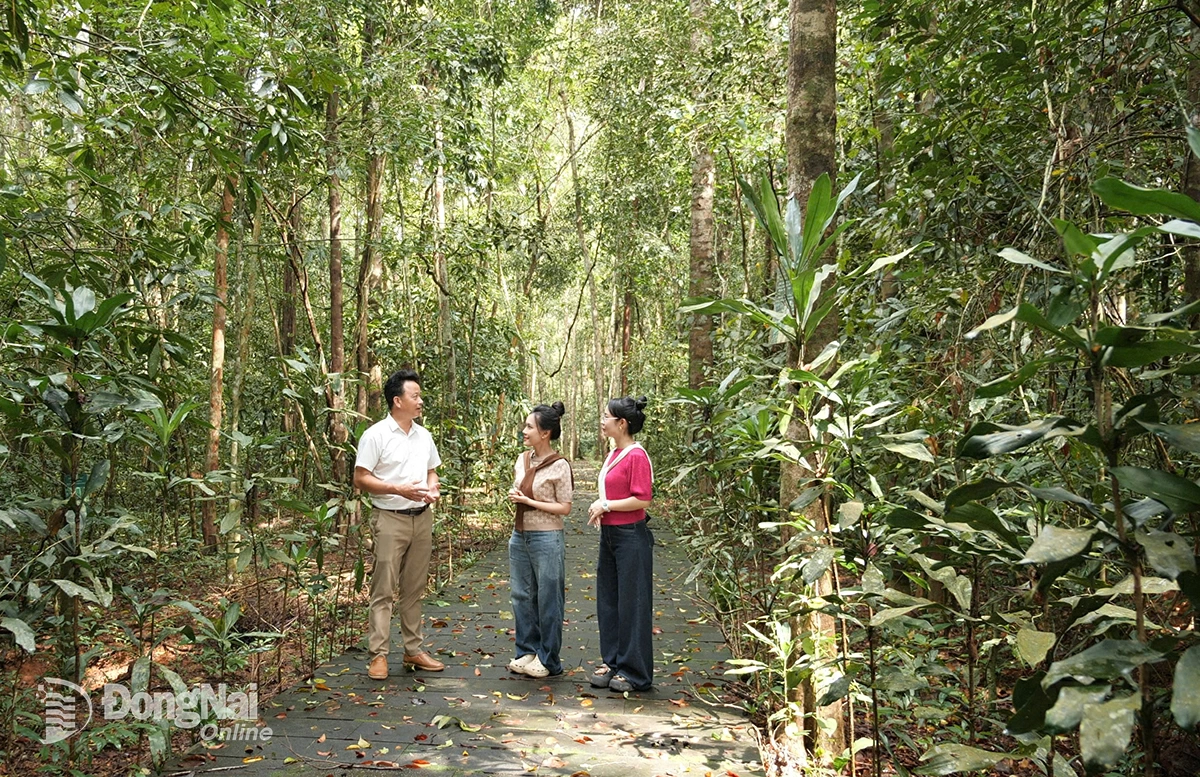 Anh Bùi Văn Toàn, Phó Giám đốc Trung tâm Sinh thái, Văn hóa, Lịch sử Chiến khu Đ (tỉnh Đồng Nai) hướng dẫn 2 MC tham quan, trải nghiệm tại Chiến khu Đ. Ảnh: Tiến Dũng