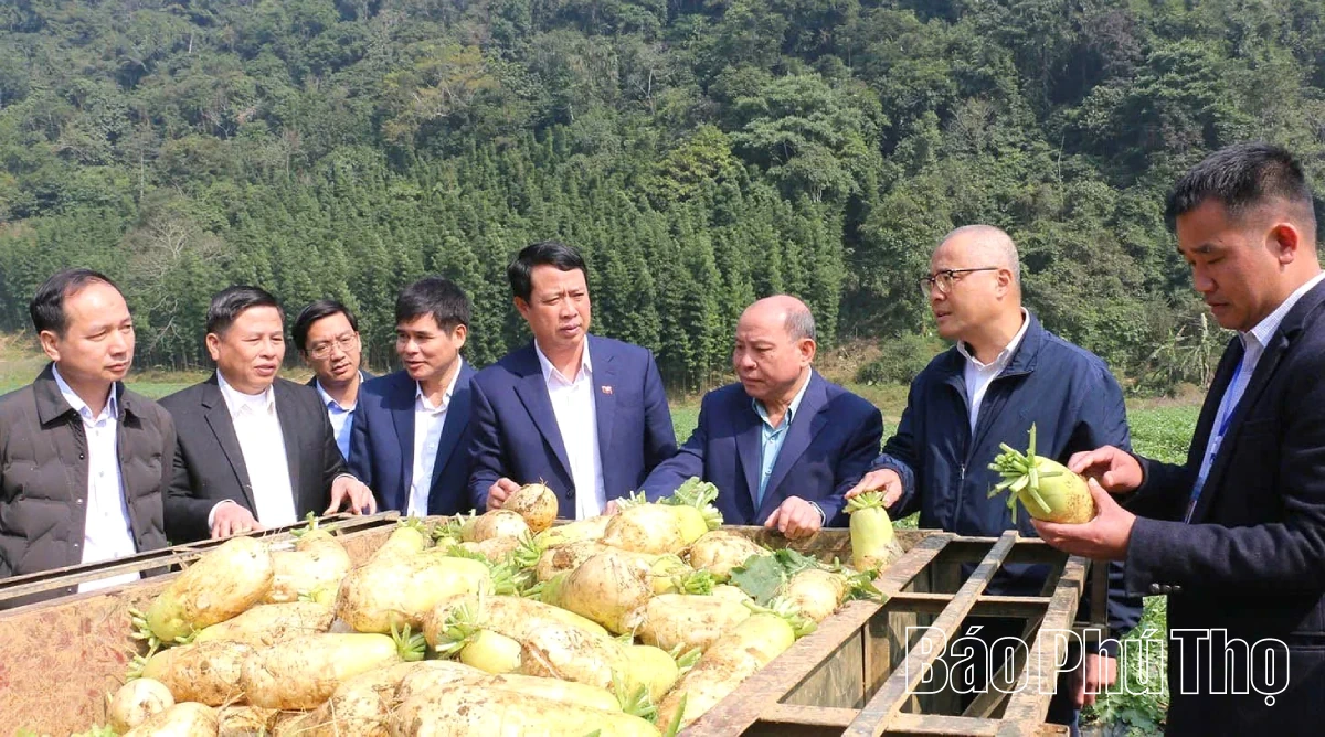 Mọi quyết s&aacute;ch đều hướng đến lợi &iacute;ch chung của người d&acirc;n Đất Tổ