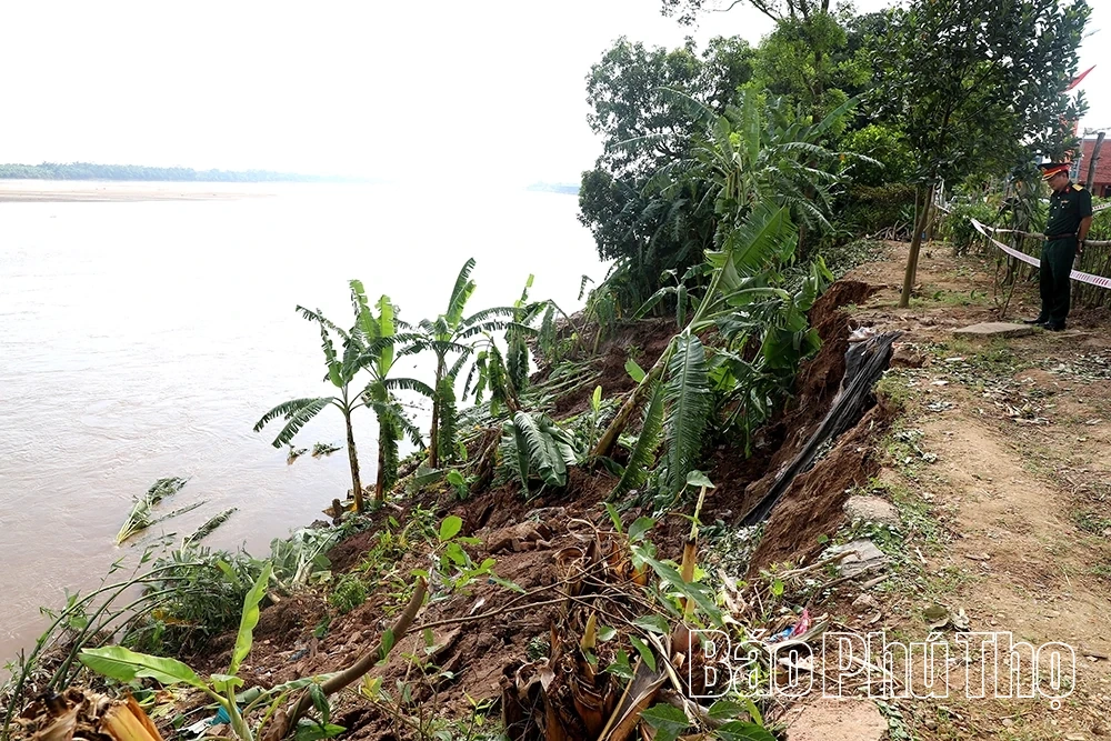 Chủ tịch UBND tỉnh Trần Duy Đông kiểm tra sạt lở đê hữu Thao, xã Tam Nông