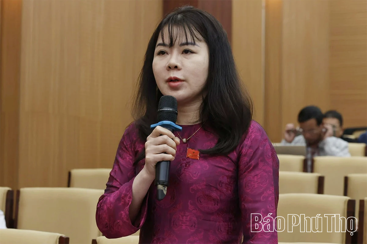 Các đại biểu thảo luận, chất vấn và trả lời chất vấn tại hội trường