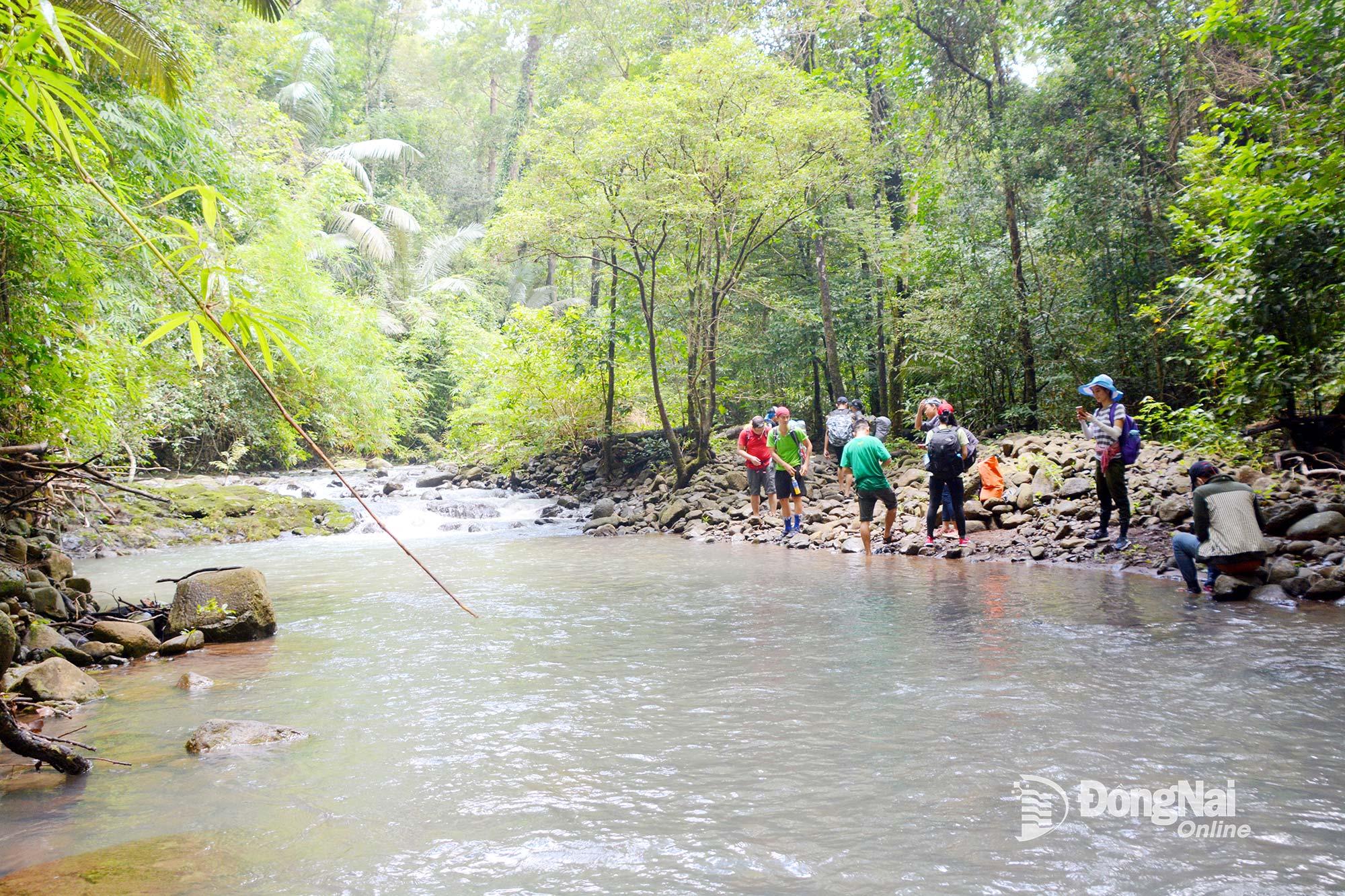Từng đoàn khách du lịch tìm đến Vườn quốc gia Bù Gia Mập trong dịp này để lắng nghe “tiếng rừng” thời điểm giao mùa