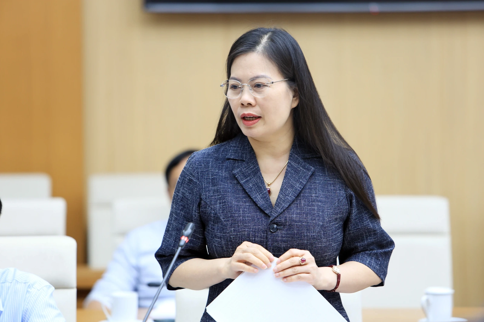 Chủ tịch UBND tỉnh Trần Duy Đông cho ý kiến một số dự án đầu tư phát triển kinh tế