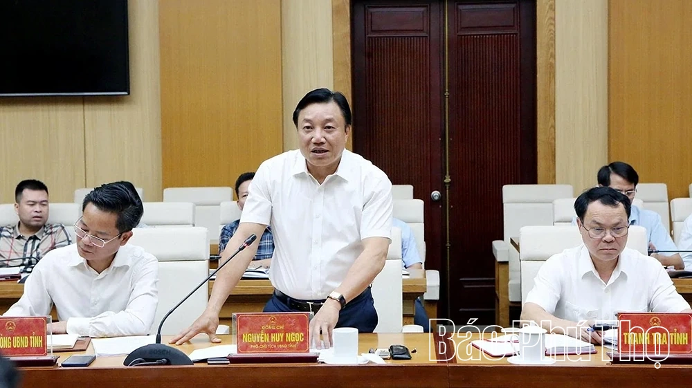 Tổ công tác Thanh tra chính phủ làm việc tại tỉnh